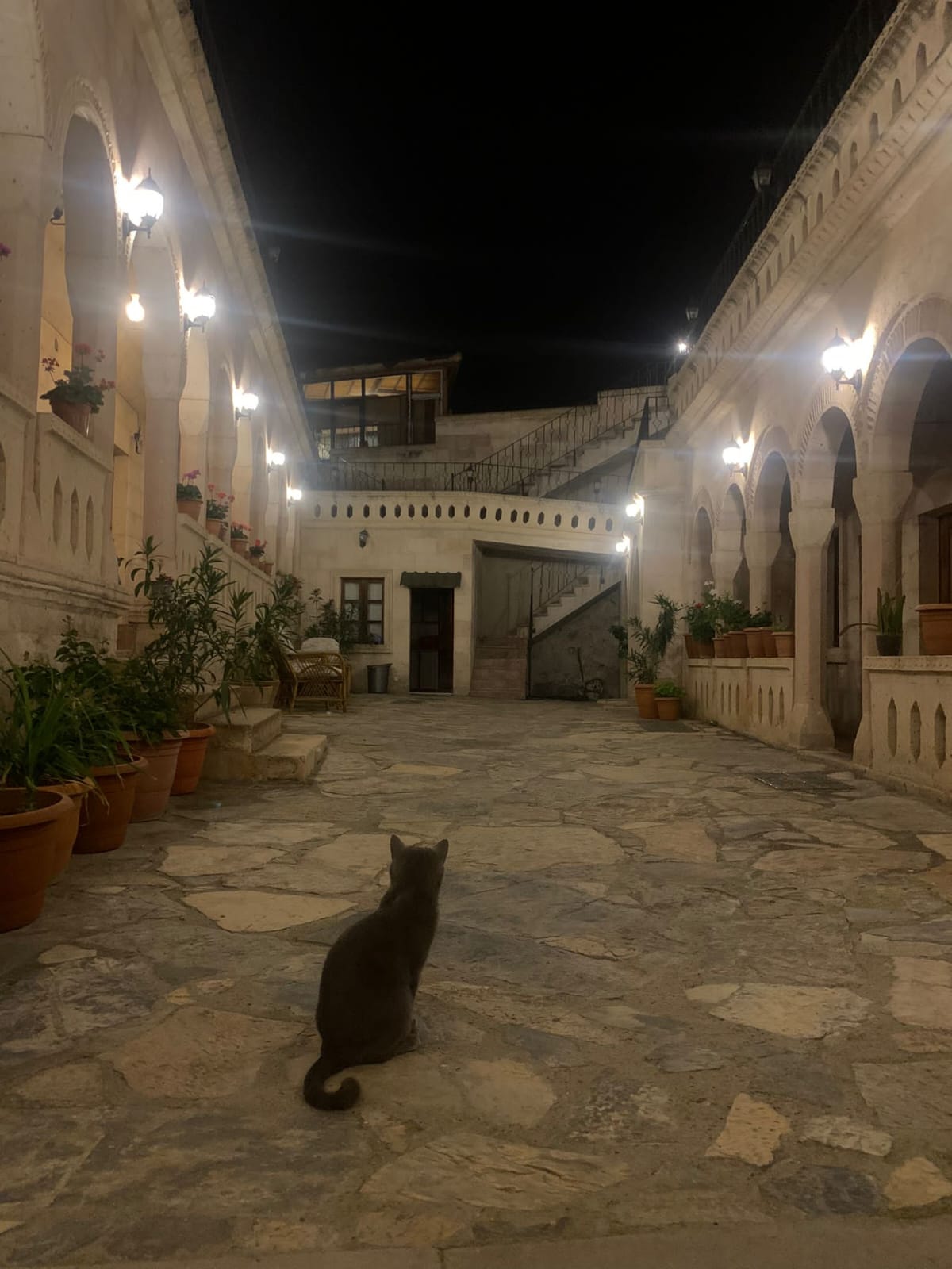 Balon Manzarası