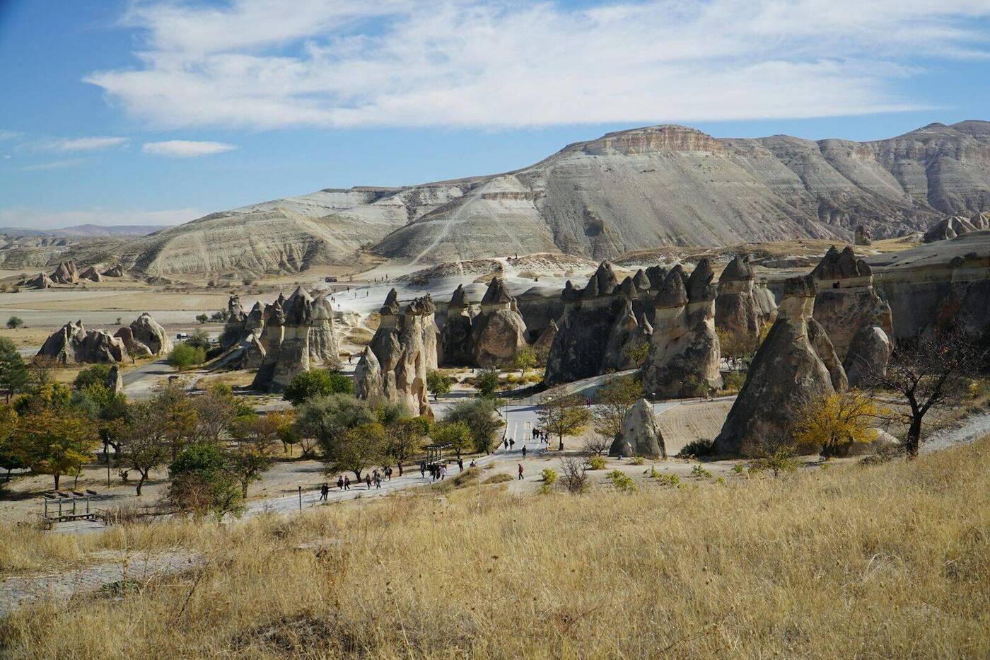 Yeşil Tur (Green Tour)